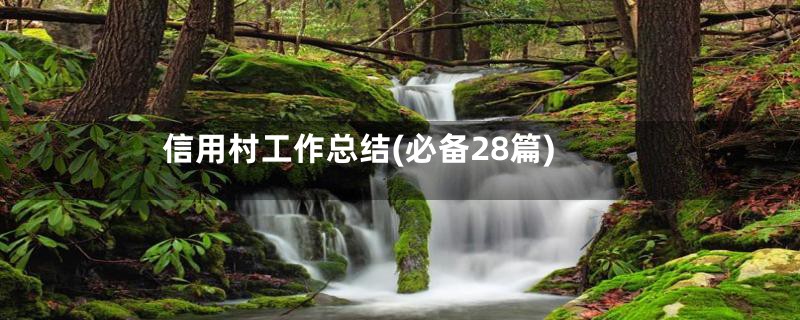 信用村工作总结(必备28篇)