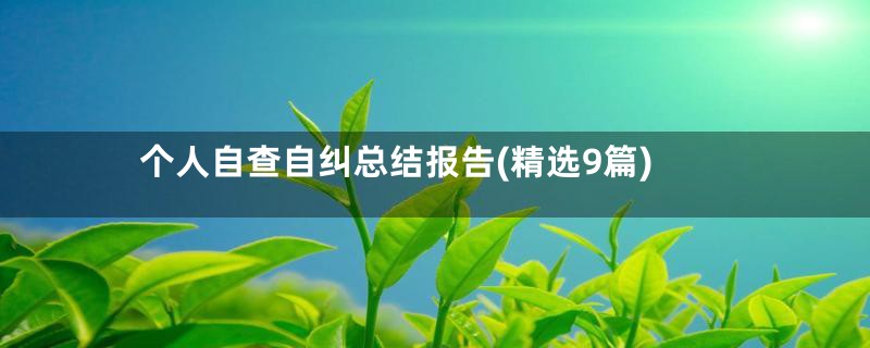 个人自查自纠总结报告(精选9篇)