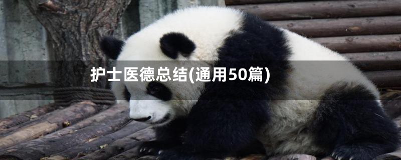 护士医德总结(通用50篇)