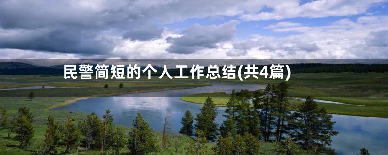 民警简短的个人工作总结(共4篇)