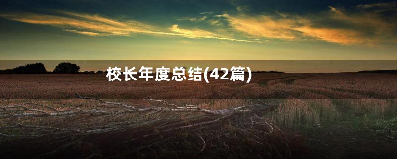 校长年度总结(42篇)