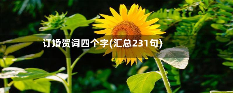 订婚贺词四个字(汇总231句)
