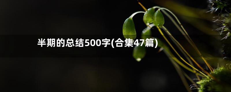 半期的总结500字(合集47篇)
