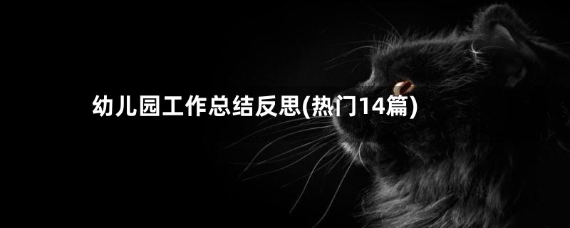 幼儿园工作总结反思(热门14篇)