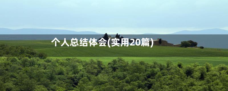 个人总结体会(实用20篇)