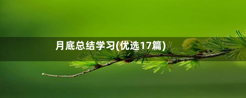 月底总结学习(优选17篇)