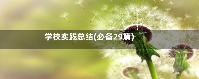学校实践总结(必备29篇)