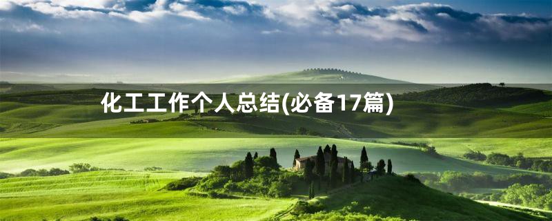 化工工作个人总结(必备17篇)