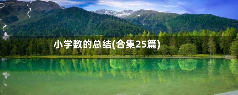 小学数的总结(合集25篇)