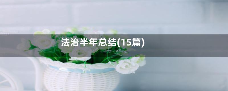 法治半年总结(15篇)