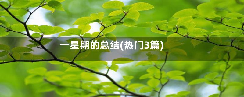 一星期的总结(热门3篇)