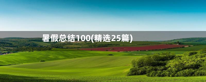 暑假总结100(精选25篇)