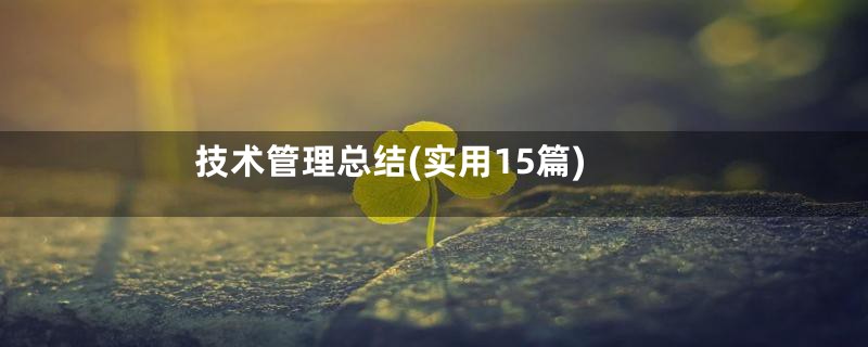 技术管理总结(实用15篇)