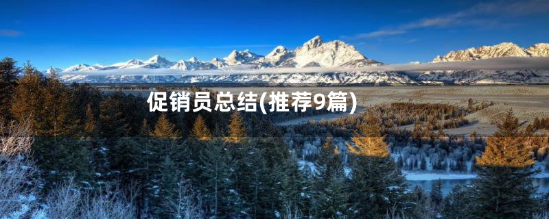 促销员总结(推荐9篇)