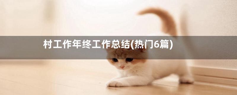 村工作年终工作总结(热门6篇)