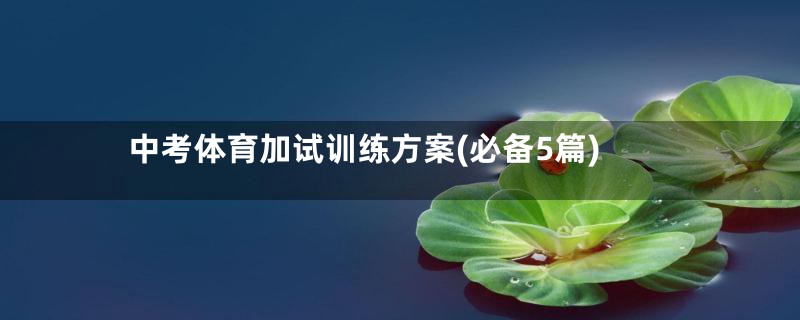中考体育加试训练方案(必备5篇)