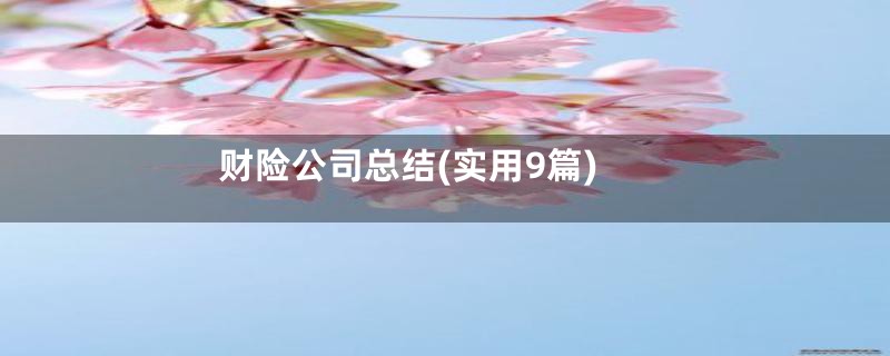 财险公司总结(实用9篇)