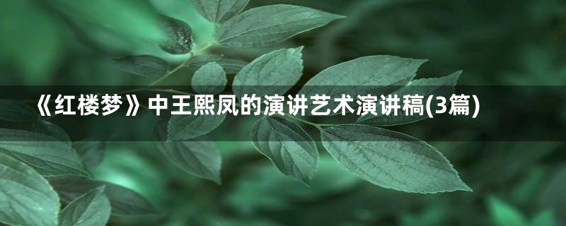 《红楼梦》中王熙凤的演讲艺术演讲稿(3篇)