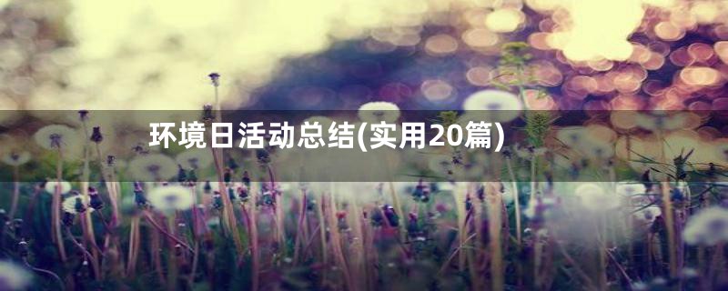 环境日活动总结(实用20篇)