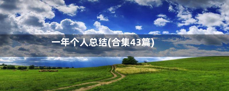 一年个人总结(合集43篇)