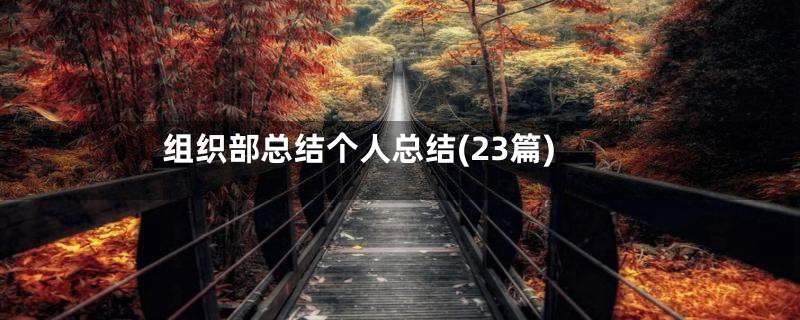 组织部总结个人总结(23篇)