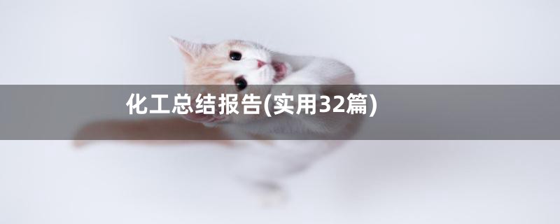 化工总结报告(实用32篇)