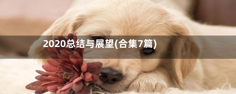 2020总结与展望(合集7篇)