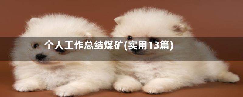个人工作总结煤矿(实用13篇)