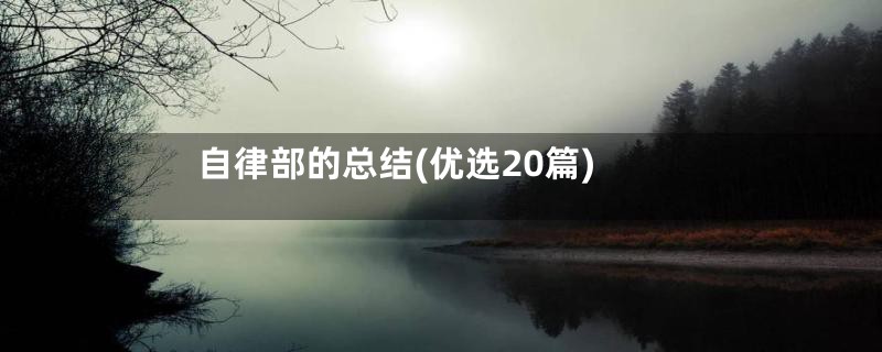 自律部的总结(优选20篇)