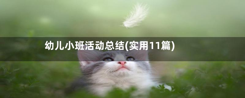 幼儿小班活动总结(实用11篇)