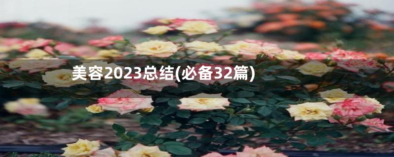 美容2023总结(必备32篇)