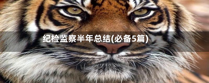 纪检监察半年总结(必备5篇)