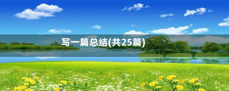 写一篇总结(共25篇)