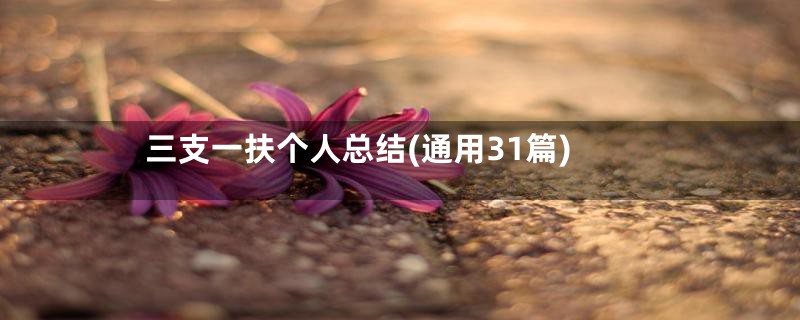 三支一扶个人总结(通用31篇)