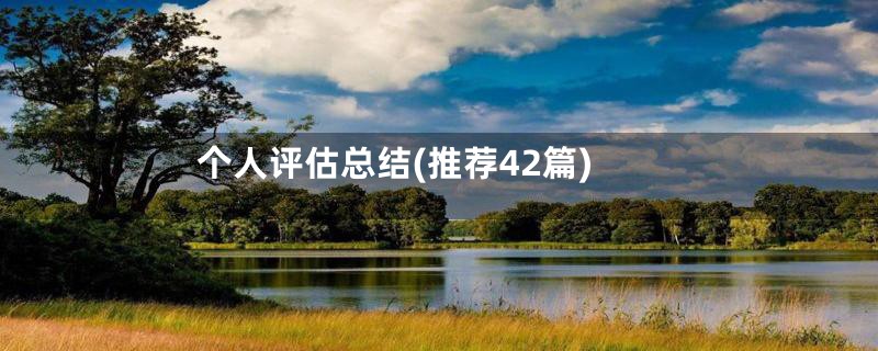 个人评估总结(推荐42篇)