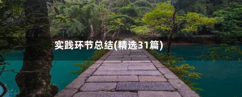实践环节总结(精选31篇)