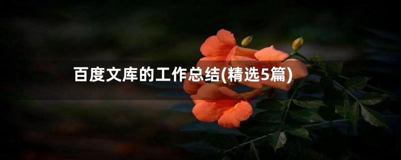 百度文库的工作总结(精选5篇)