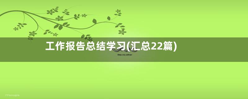 工作报告总结学习(汇总22篇)