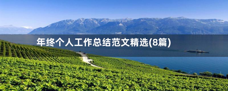 年终个人工作总结范文精选(8篇)