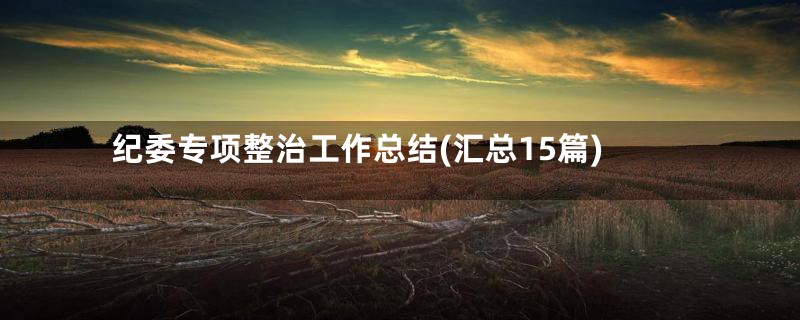 纪委专项整治工作总结(汇总15篇)