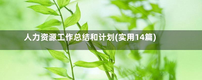 人力资源工作总结和计划(实用14篇)