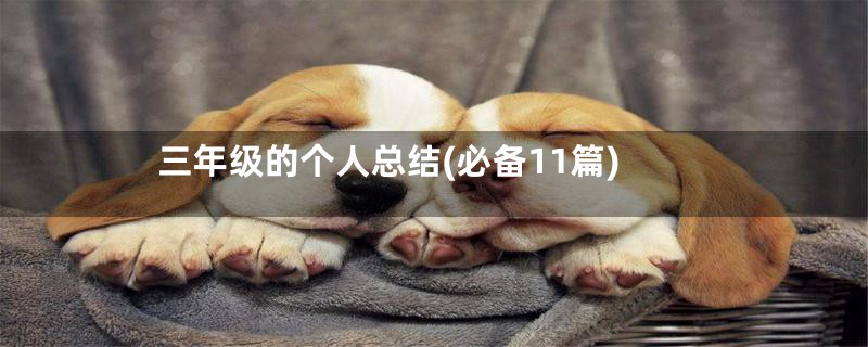 三年级的个人总结(必备11篇)