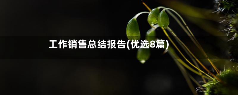 工作销售总结报告(优选8篇)