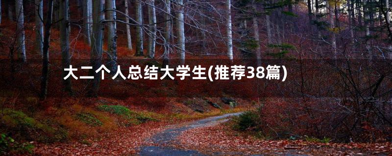 大二个人总结大学生(推荐38篇)