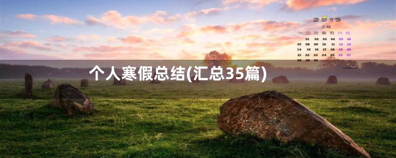个人寒假总结(汇总35篇)