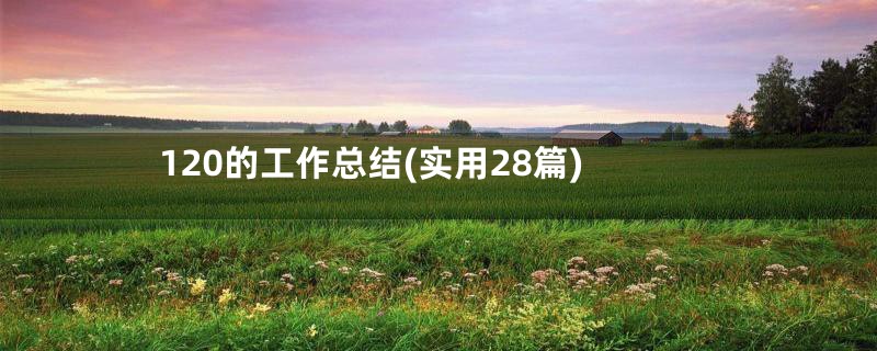 120的工作总结(实用28篇)