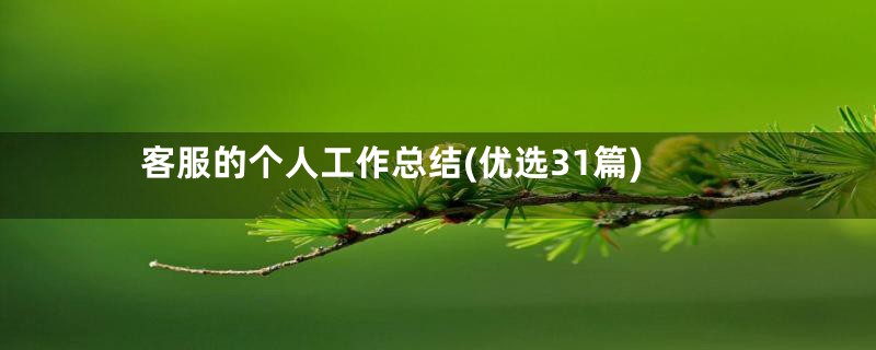 客服的个人工作总结(优选31篇)