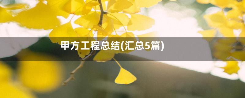 甲方工程总结(汇总5篇)