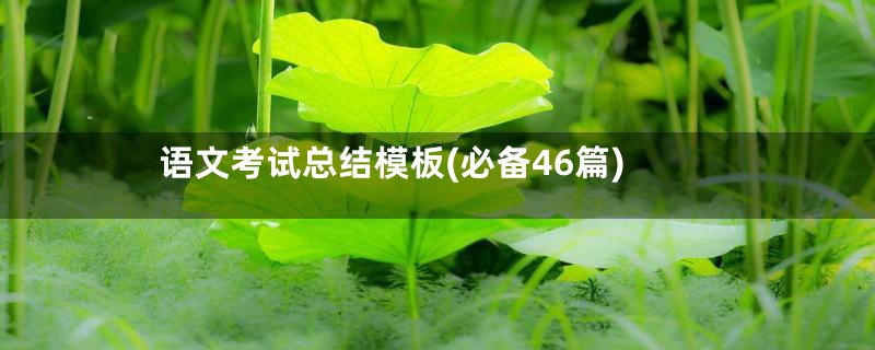 语文考试总结模板(必备46篇)