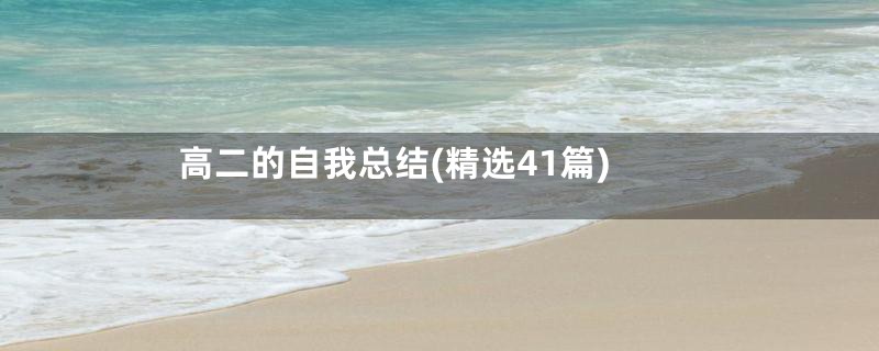 高二的自我总结(精选41篇)
